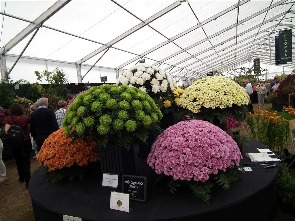 Floral marquee in the long water area 30